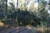 Th Unwetter